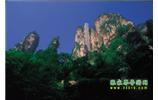 網(wǎng)絡(luò)熱門純玩游：張家界、天子山、袁家界、楊家界 自助三日游