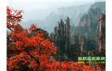 春節(jié)期間：張家界、天子山、金鞭溪自駕車精華精品游