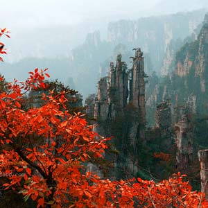 休閑自駕E線：張家界、袁家界、天子山、寶峰湖、鳳凰古城、沱江泛舟四晚五日游