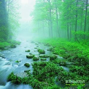 【純玩散拼尊享系列3】張家界、天子山、袁家界、黃龍洞、鳳凰三晚四日游