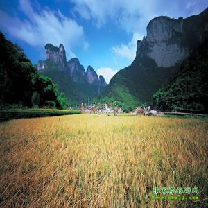 張家界往返純玩散拼：矮寨大橋、德夯苗寨、鳳凰古城、芙蓉鎮(zhèn)二日游